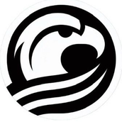 EagleAI Logo